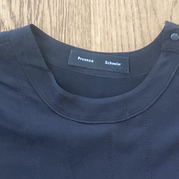 Proenza Schouler Pleated Silk Drop Waist Dress - Picture 11 of 12